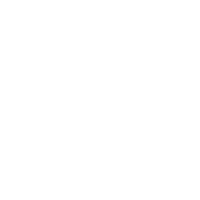 Lifetime Warranty Badge