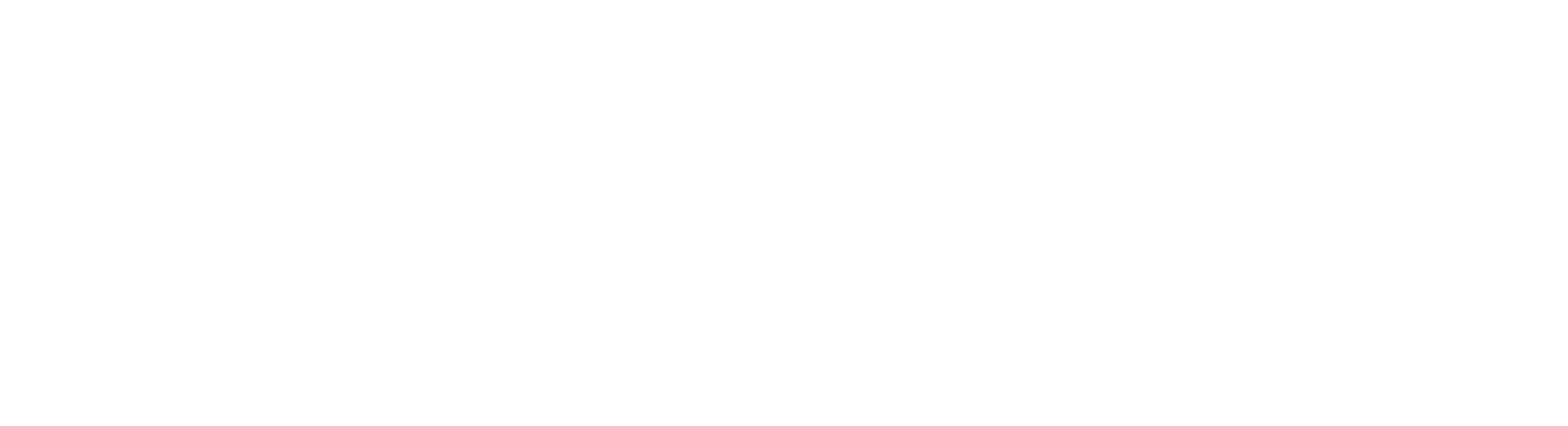 XPEL Logo